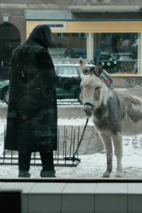 Looking Back Is Grace