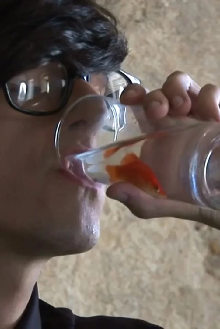 ایالتی که من ماهی هستم