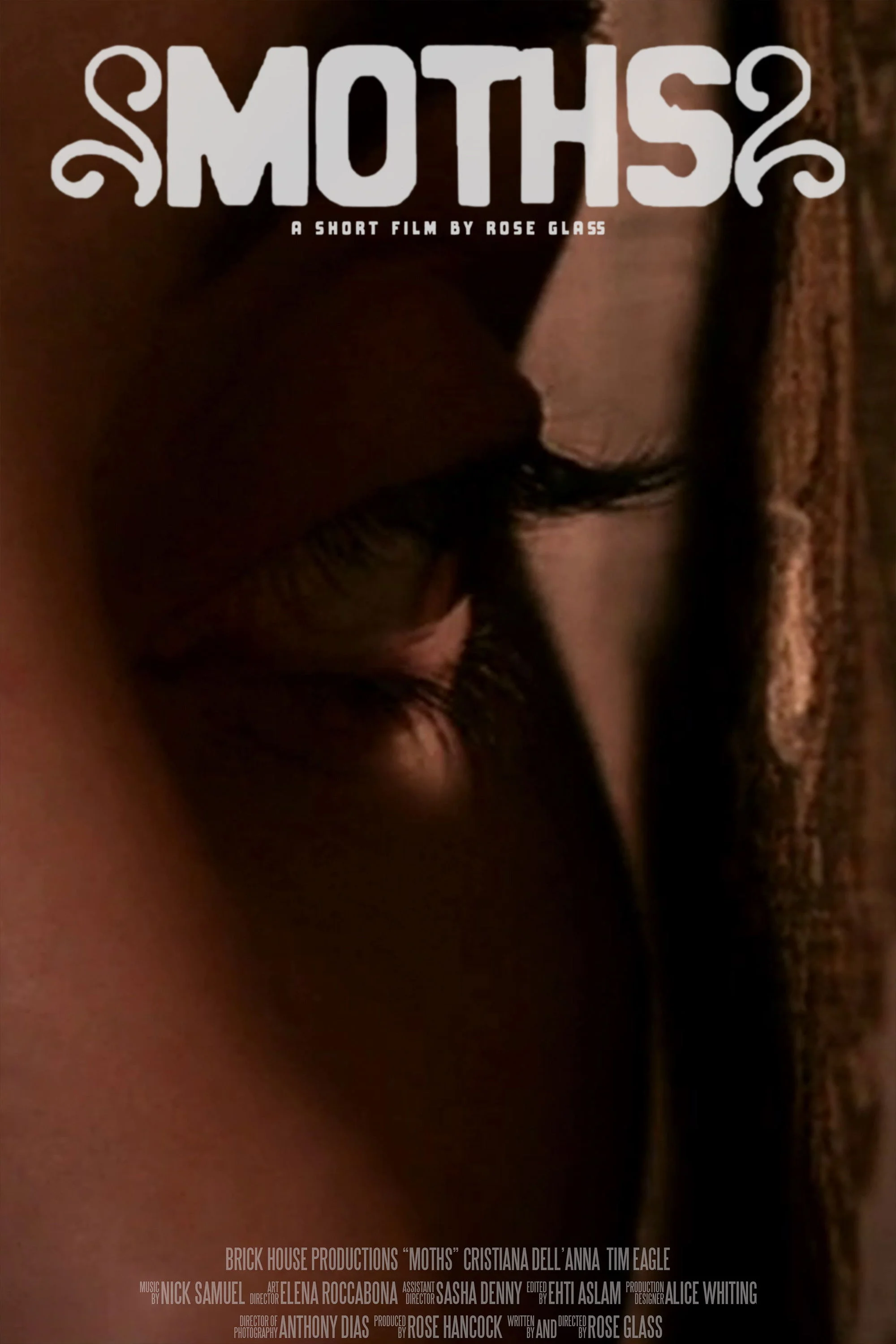 شباهنگ های عنکبوتی