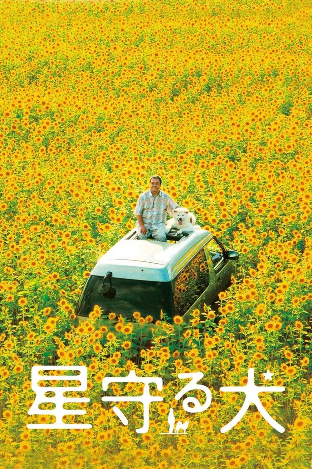 سگ تماشای ستاره