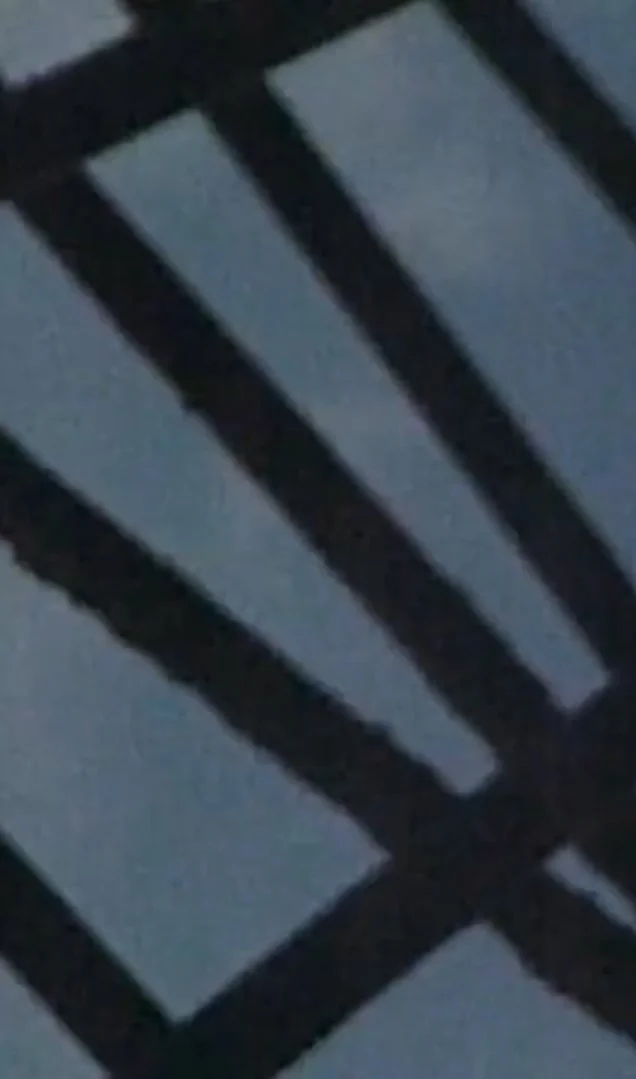 موسم مُرده‌ها