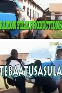 تِباتُساسولا