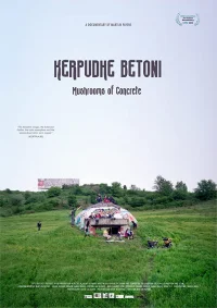 قارچ های بتن شده