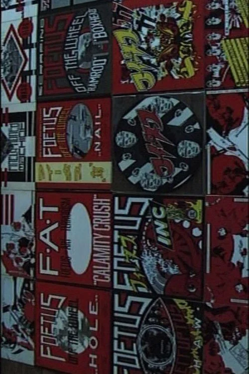 نیو وای سی فئوس