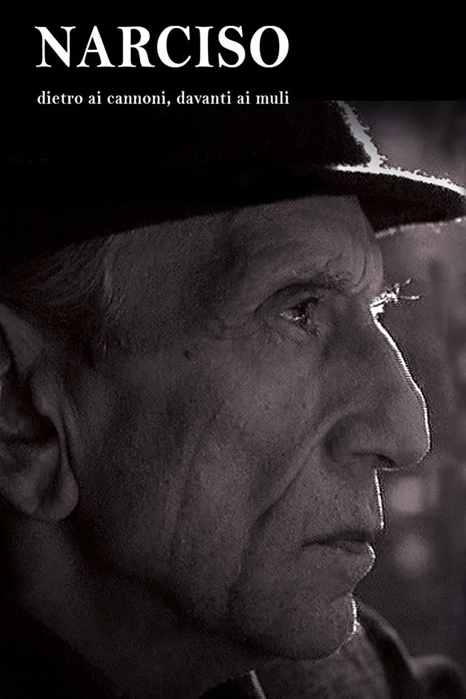 نرسیسو - پشت تفنگ‌ها، روبه‌روی قاطرها