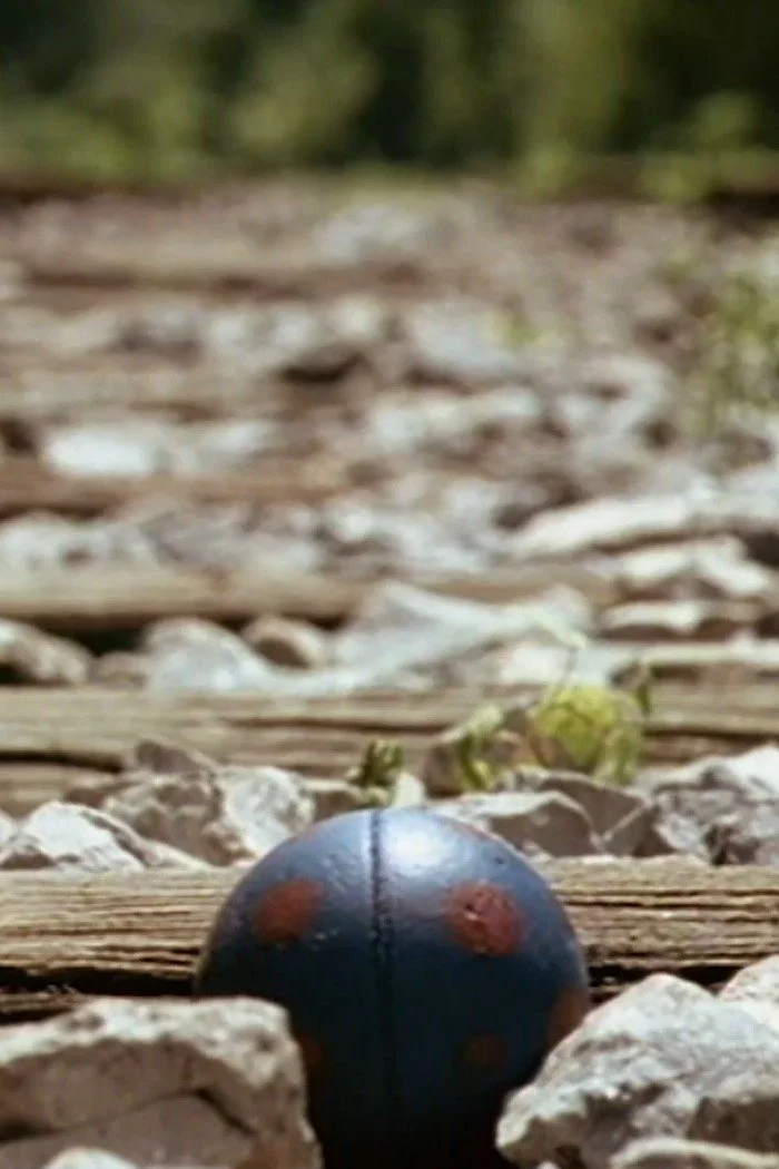 خاله‌زاده‌، پسرخاله یا عمو؟