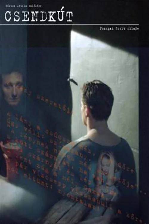 در چاه سکوت