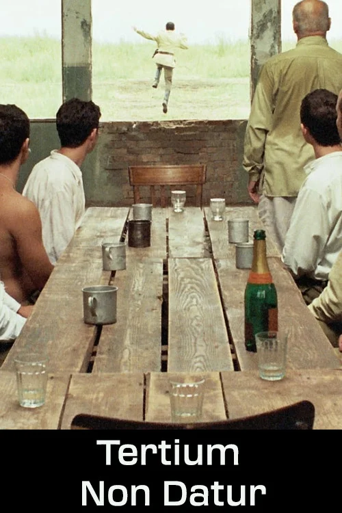 عدم وجود اختیار ثالث