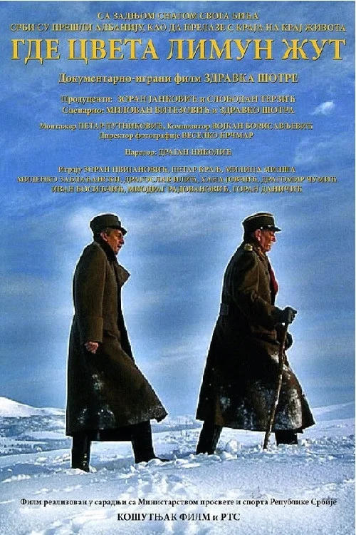 جایی که لیموی زرد می روید