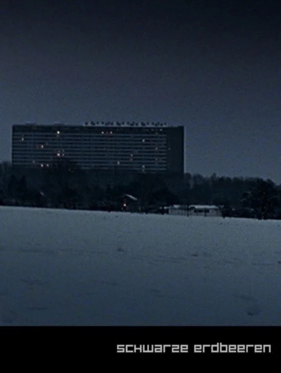 توت فرنگی سیاه