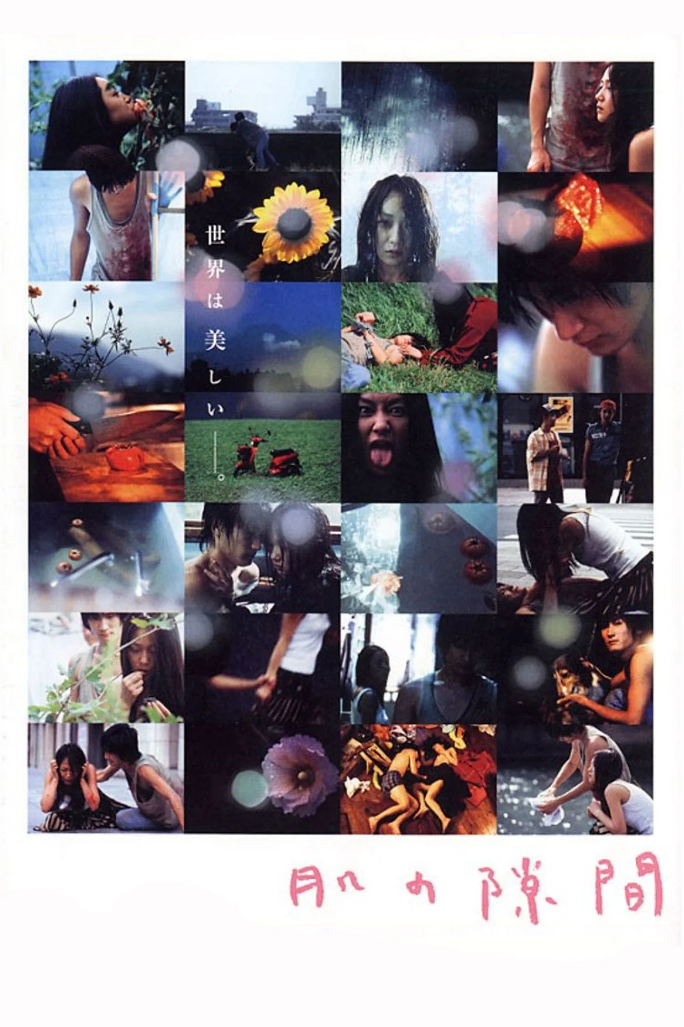 سکته ای بر پوست