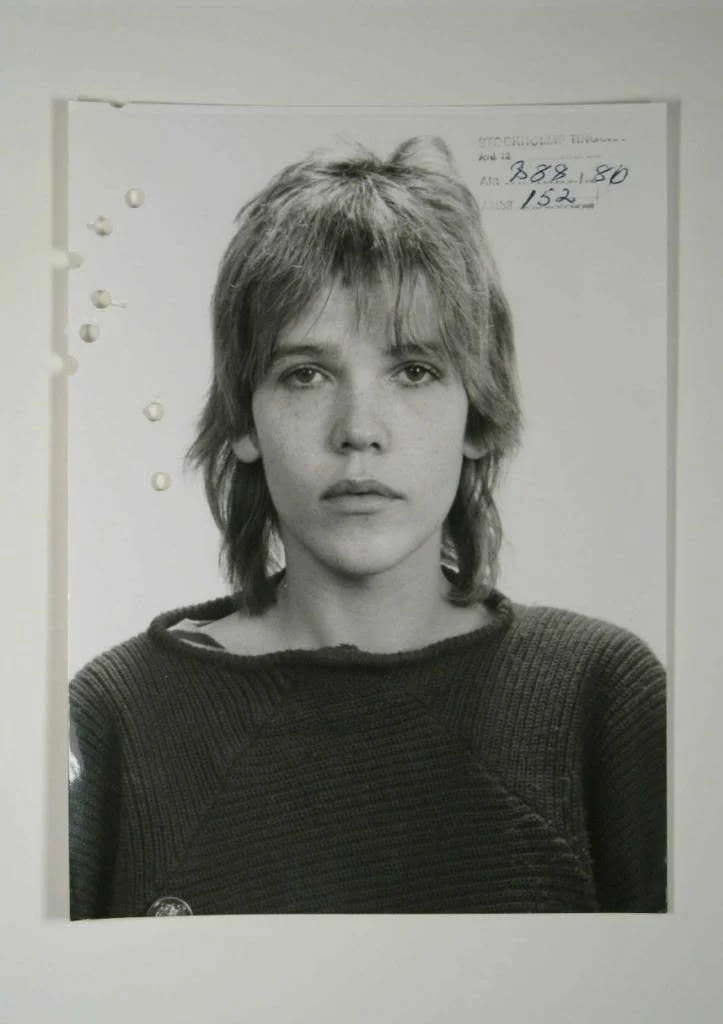 جنایت Styckmordet: روایت پرونده ای قضایی