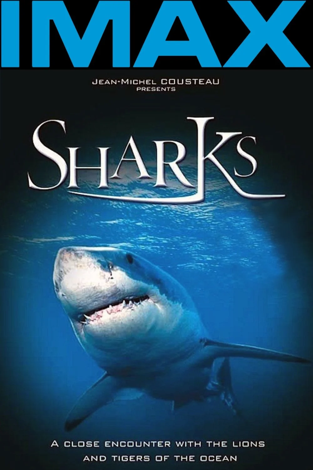 هجوم سه بعدی س shark