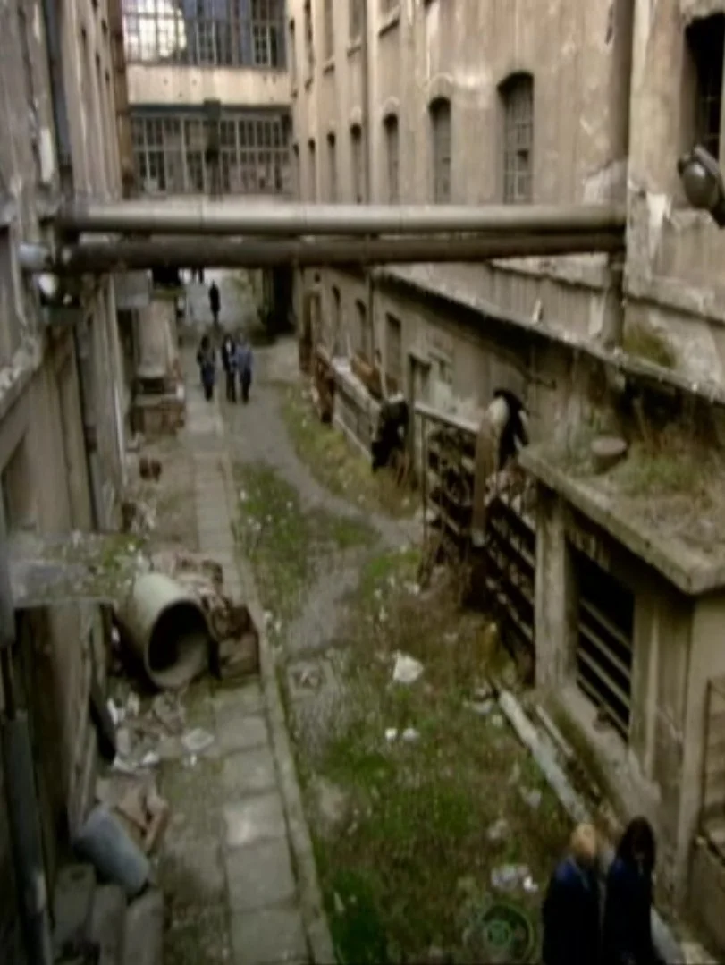 تو تازی تاک تا تسلیم