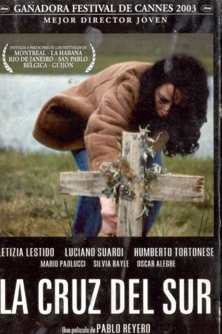 قطب جنوب جنوبی