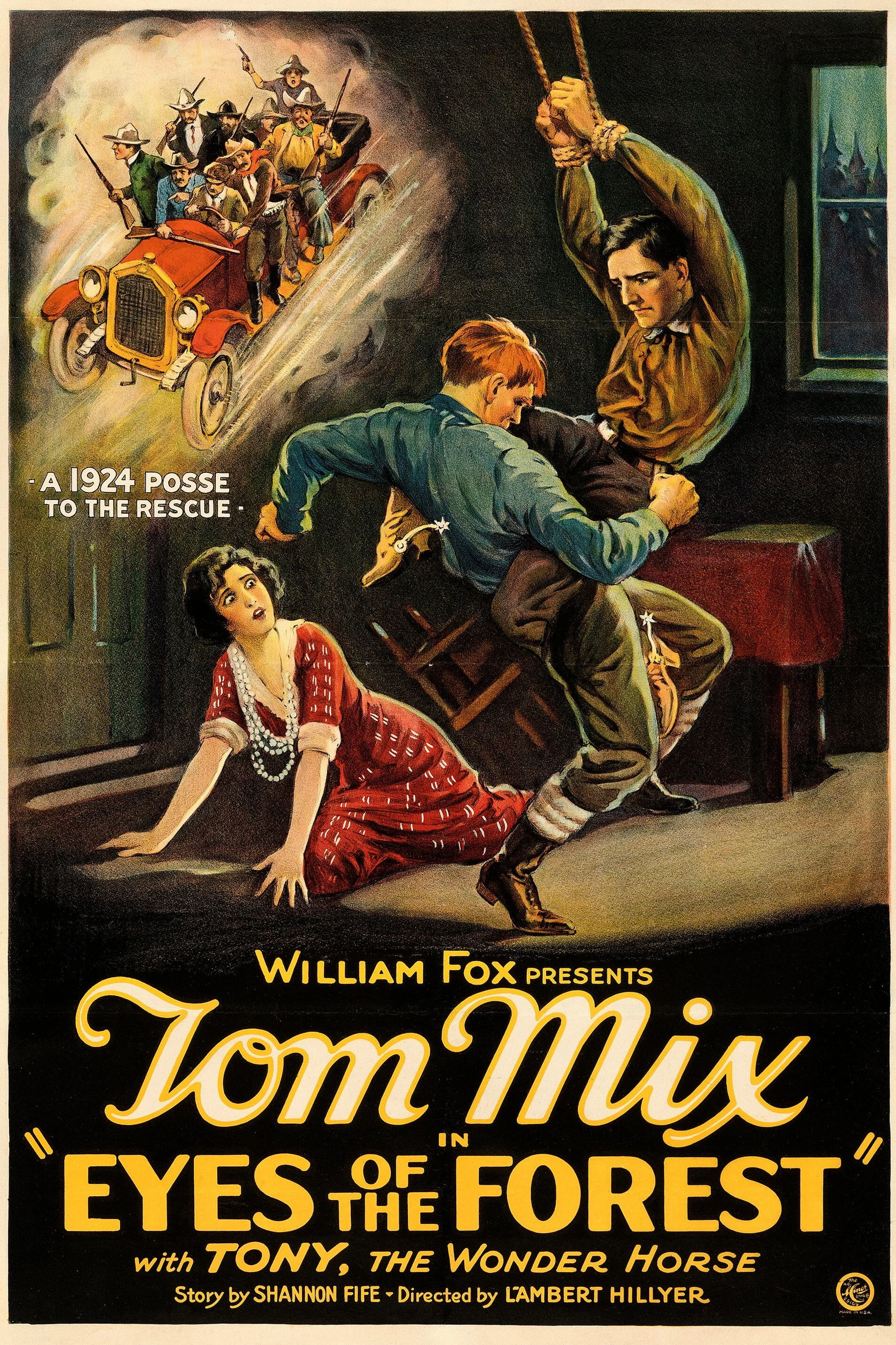 چشم‌های جنگل