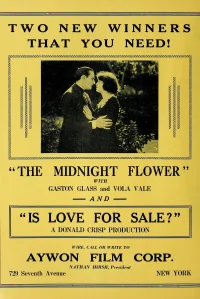 The Midnight Flower