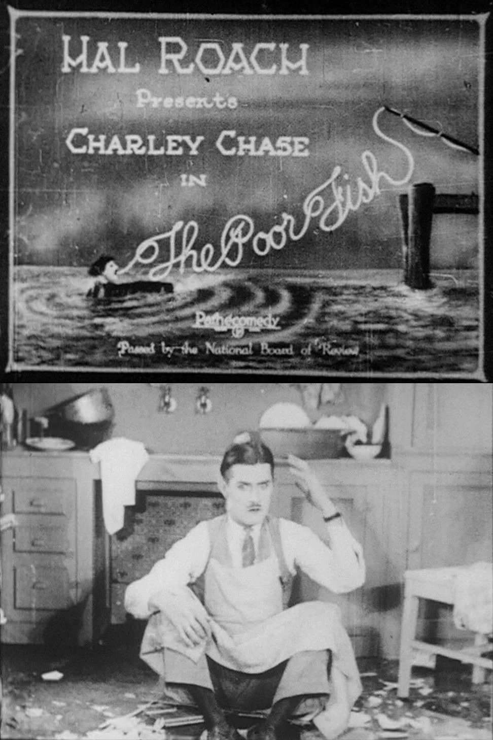 ماهی بیچاره