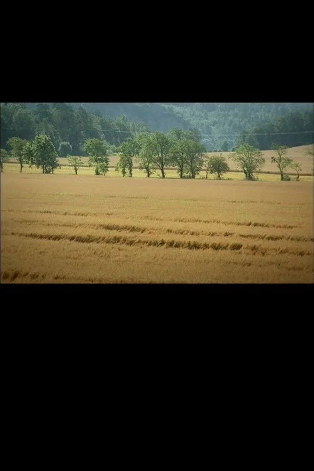 مادر با ریش