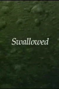 Swallowed