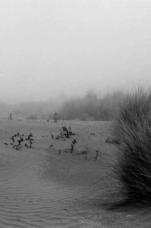 مرد انسان و بتن دریا — نقص های شماره یک