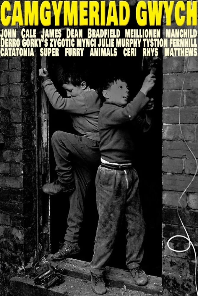 اشتباه زیبا