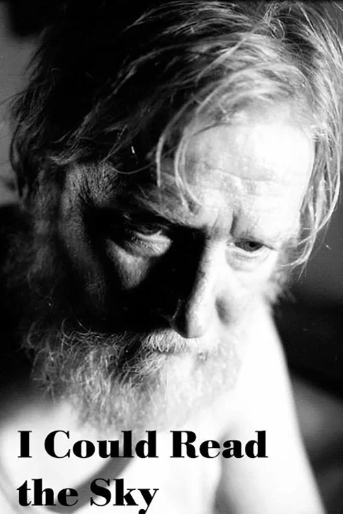 می‌توانستم آسمان را بخوانم