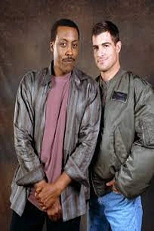 دنبال کنندگان پستی