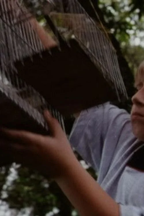 پیرو قدیمی ساکو