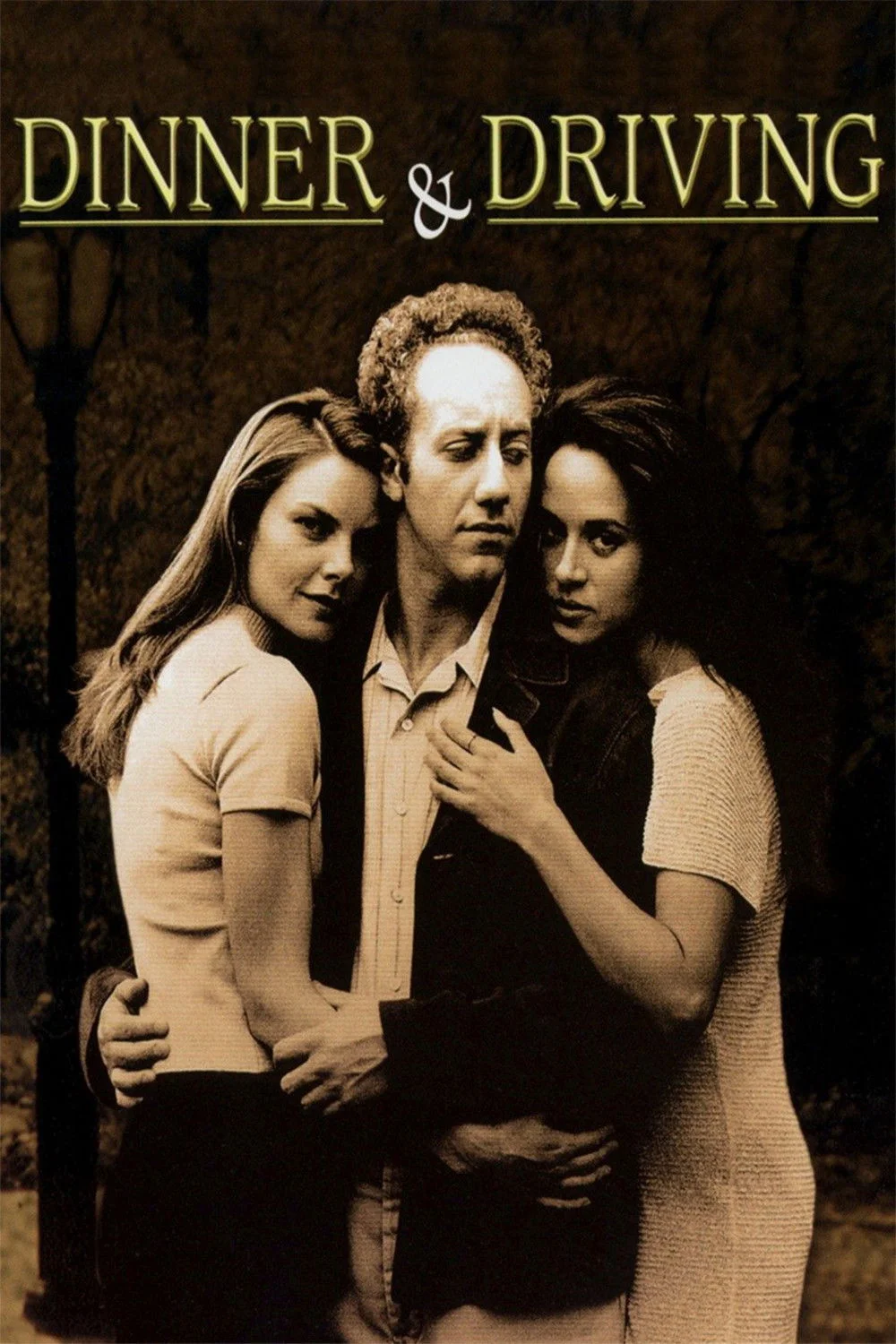 شام و رانندگی