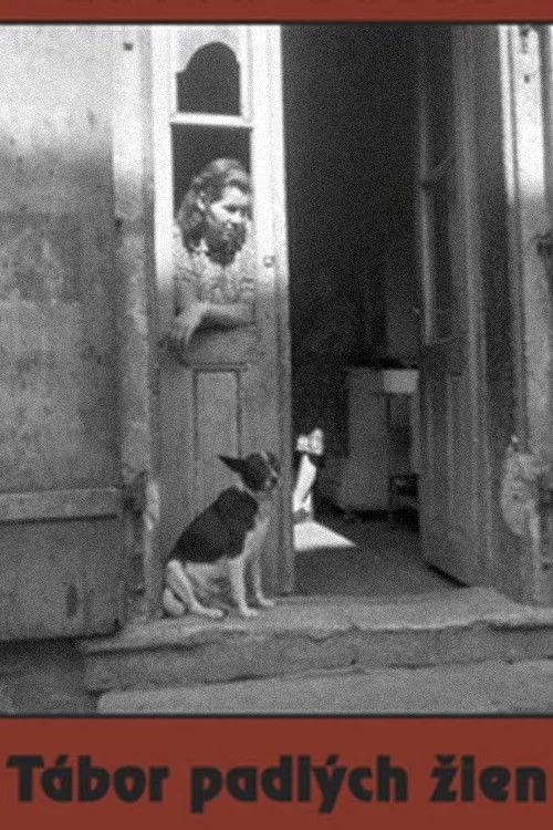 اردوی زنان فرور ریخته