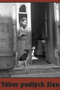 Camp of Fallen Women