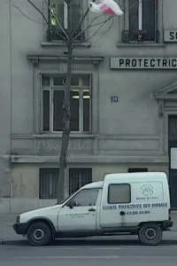 Nous sommes tous des cafards