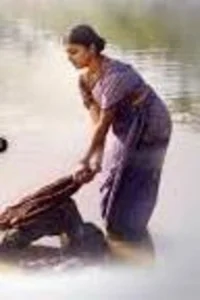 نیلا مستارانی