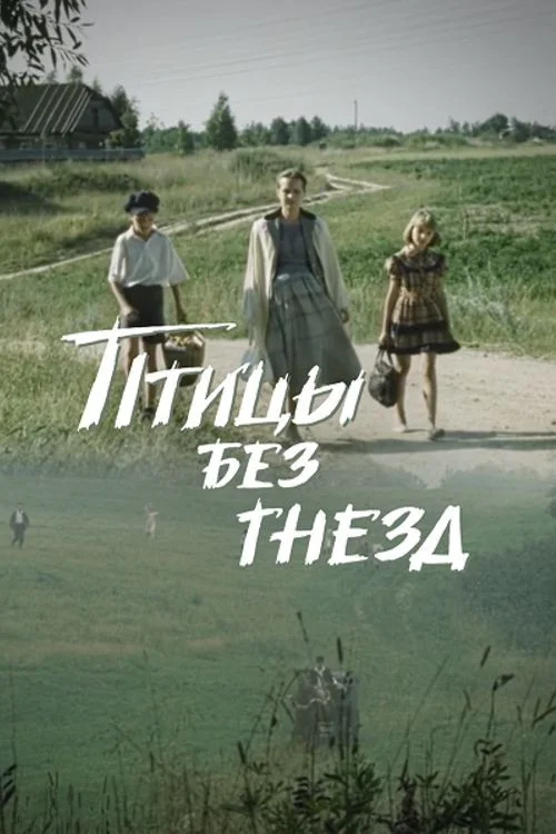 پرندگان بدون آشیانه