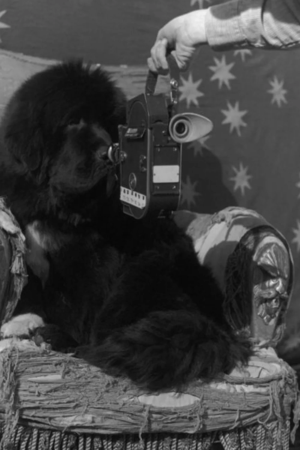 غول‌های مهربان