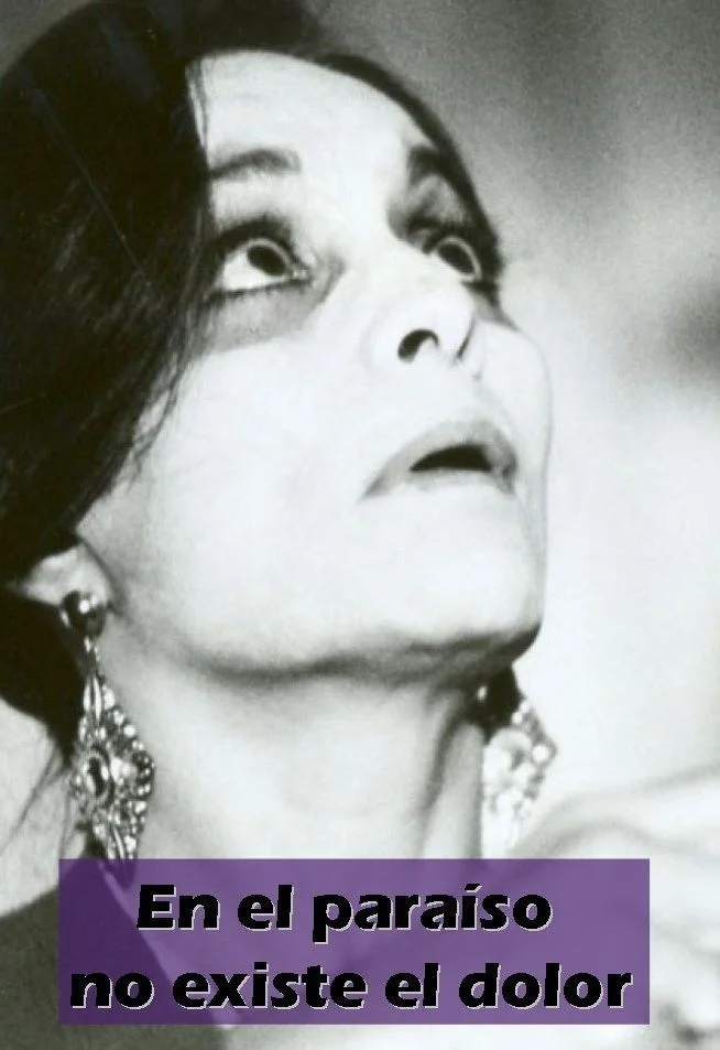 هیچ در بهشت درد ندارد