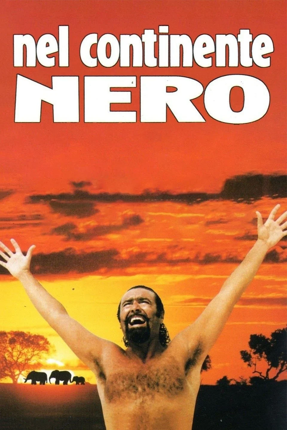 در قاره تاریک