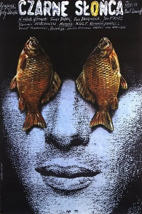 خورشیدهای سیاه