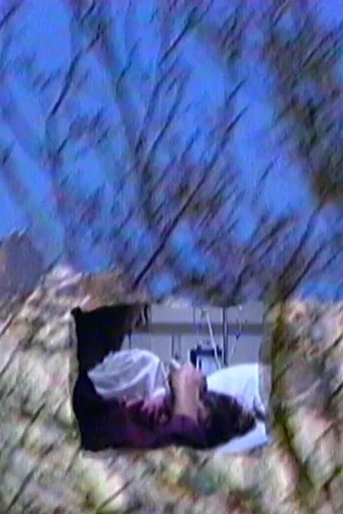 وقتی عموی مادرم زاده شد بوی گلابی وحشی در مقابل پنجره سوخته قهوه ای می‌آمد