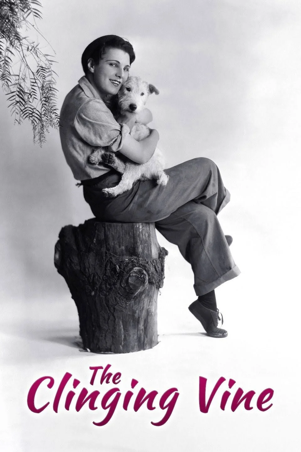 موهبت چسبنده