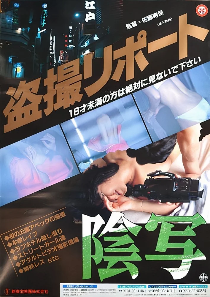 تصویر لاکپشتی