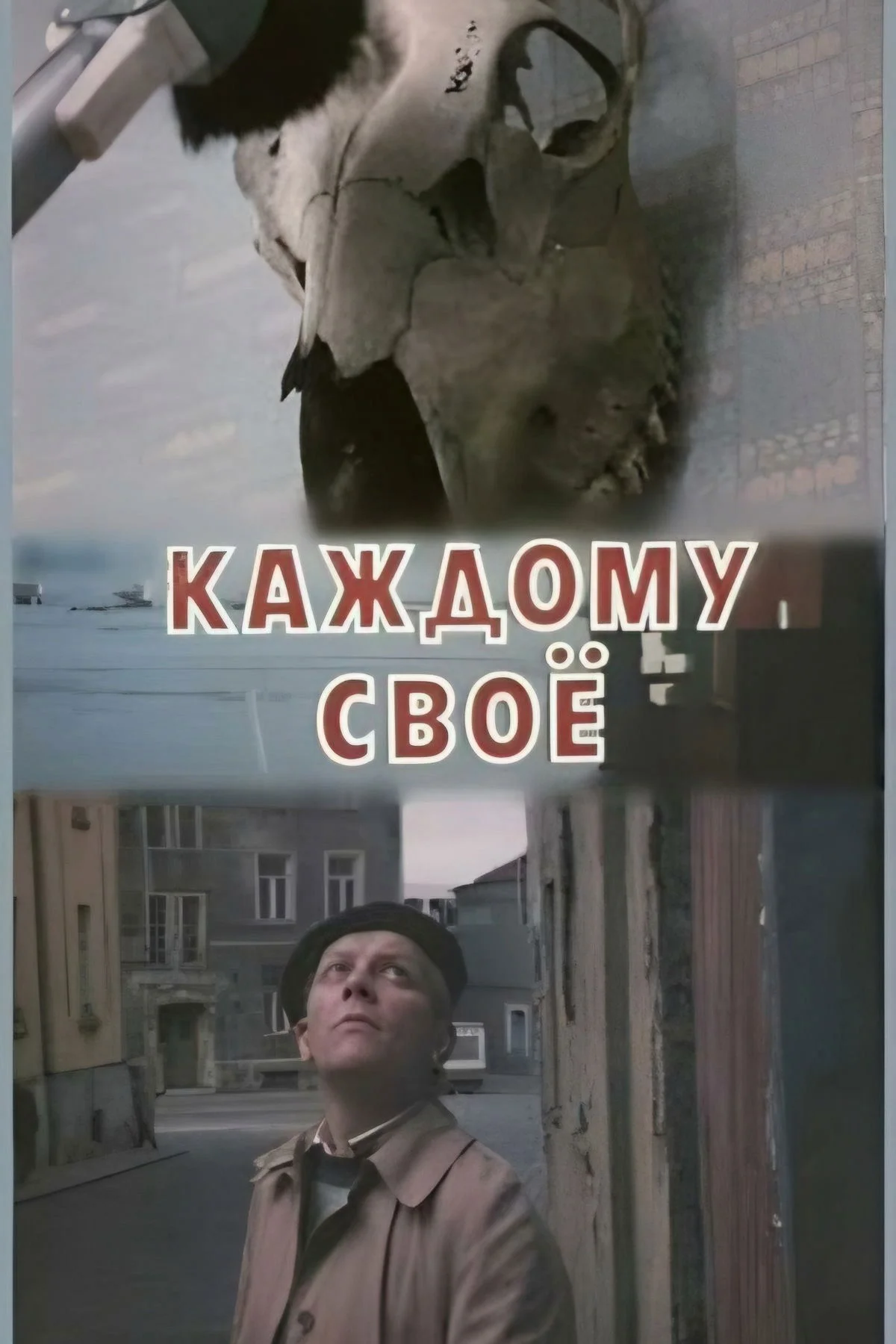 هر کس سهم خود را دارد