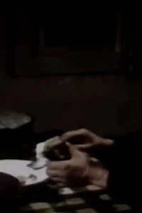 شب بیست و هشت ساله