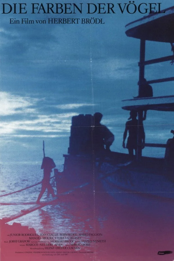 رنگ های پرندگان