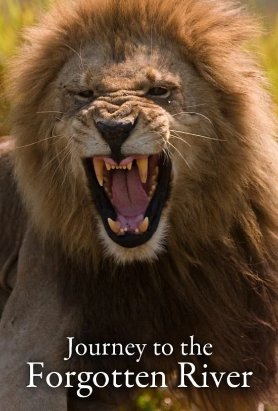 سفر به رودخانه فراموش شده