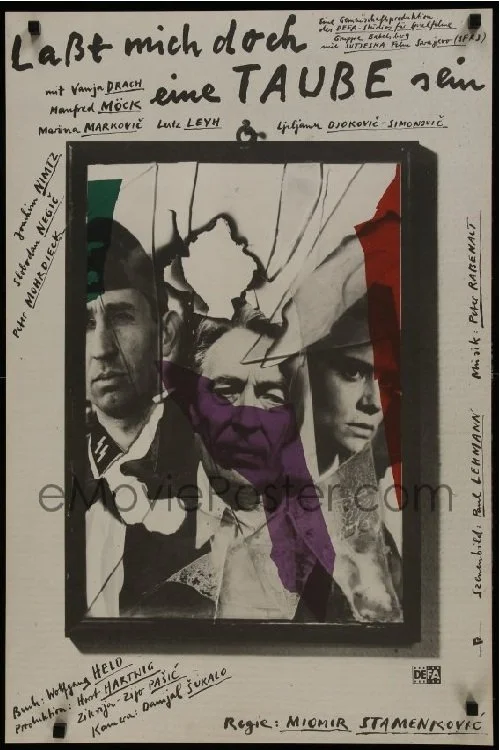 کاش من یکی بودم کبوتر