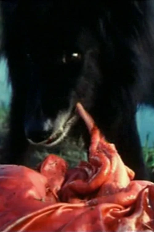 جشن خیابانی هاپسکی