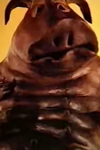 نزدیک گل‌آلود