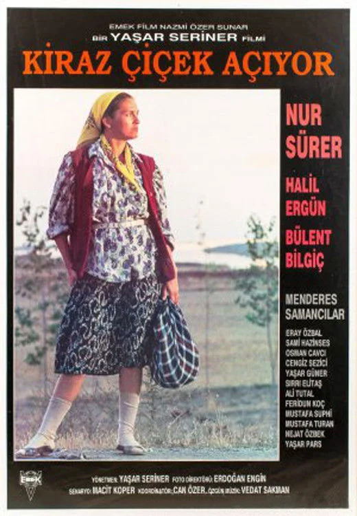 زمان گل سردهٔ چری